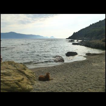 09-Wanderung_von_Zeltplatz_Corsica_Gradelle_Richtung_Porto-002.JPG