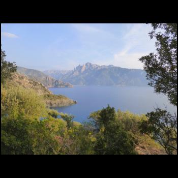 09-Wanderung_von_Zeltplatz_Corsica_Gradelle_Richtung_Porto-011.JPG