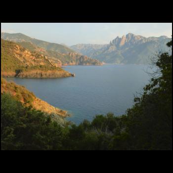 09-Wanderung_von_Zeltplatz_Corsica_Gradelle_Richtung_Porto-020.JPG