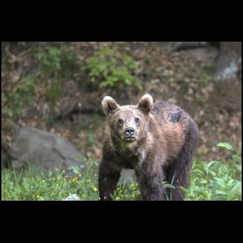 16_5__Samstag_134_-_Ausflug_mit_Philothea_Teens.jpg