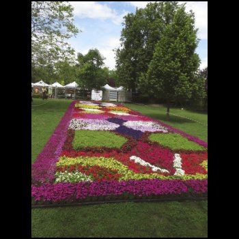 22_5__Freitag_4_-_Blumenmarkt.jpg