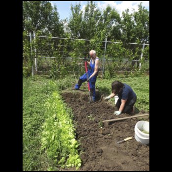 25_5__Montag_02_-_Evas_Garten.jpg