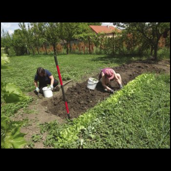 25_5__Montag_09_-_Evas_Garten.jpg