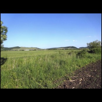 27_5__Mittwoch_01_-_Spaziergang.jpg