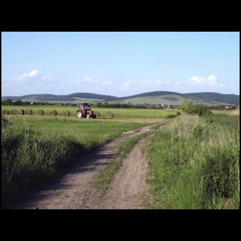 27_5__Mittwoch_12_-_Spaziergang.jpg