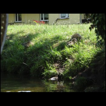 Bild_001.JPG